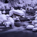 雪景色