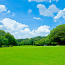 sky&green