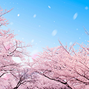 桜の季節